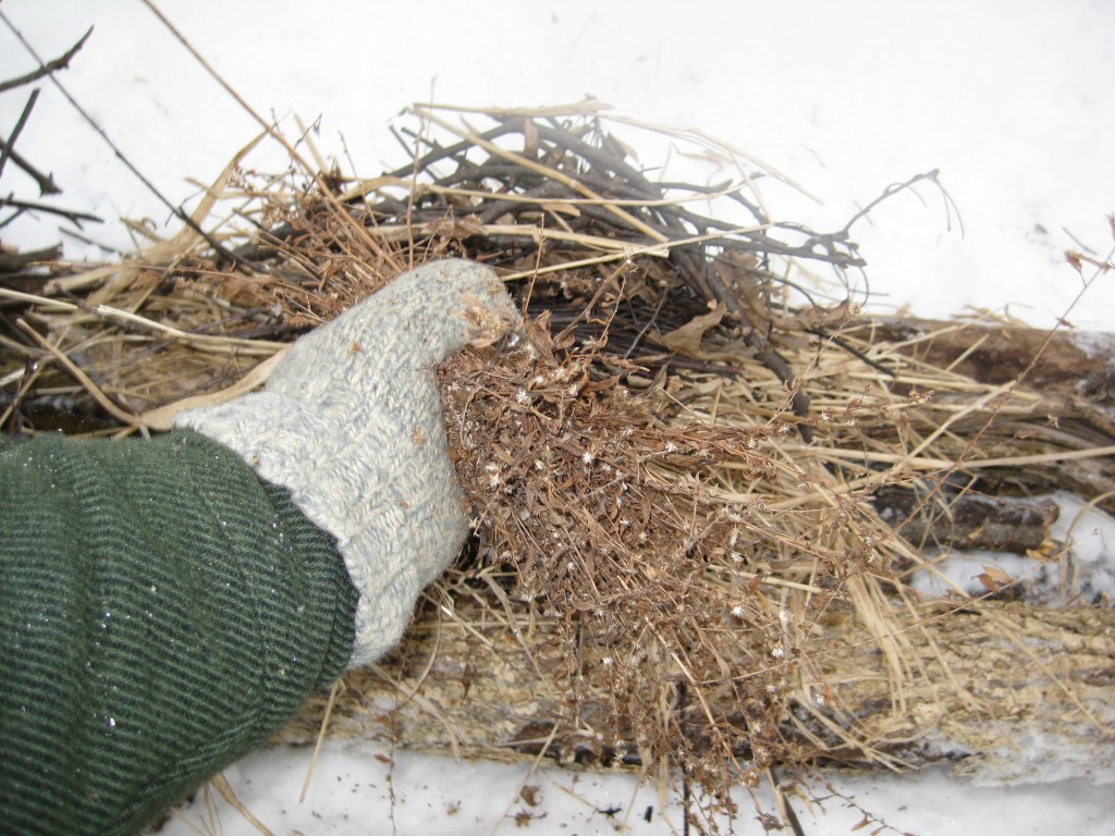 Outdoor readiness blog 022014_108