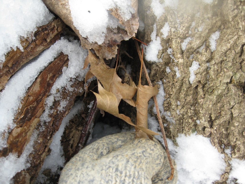 Outdoor readiness blog 022014_116