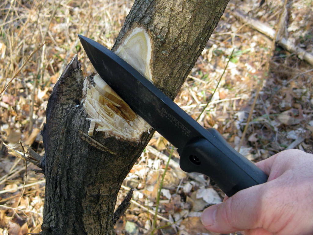 Becker BK-2 cutting mulberry best