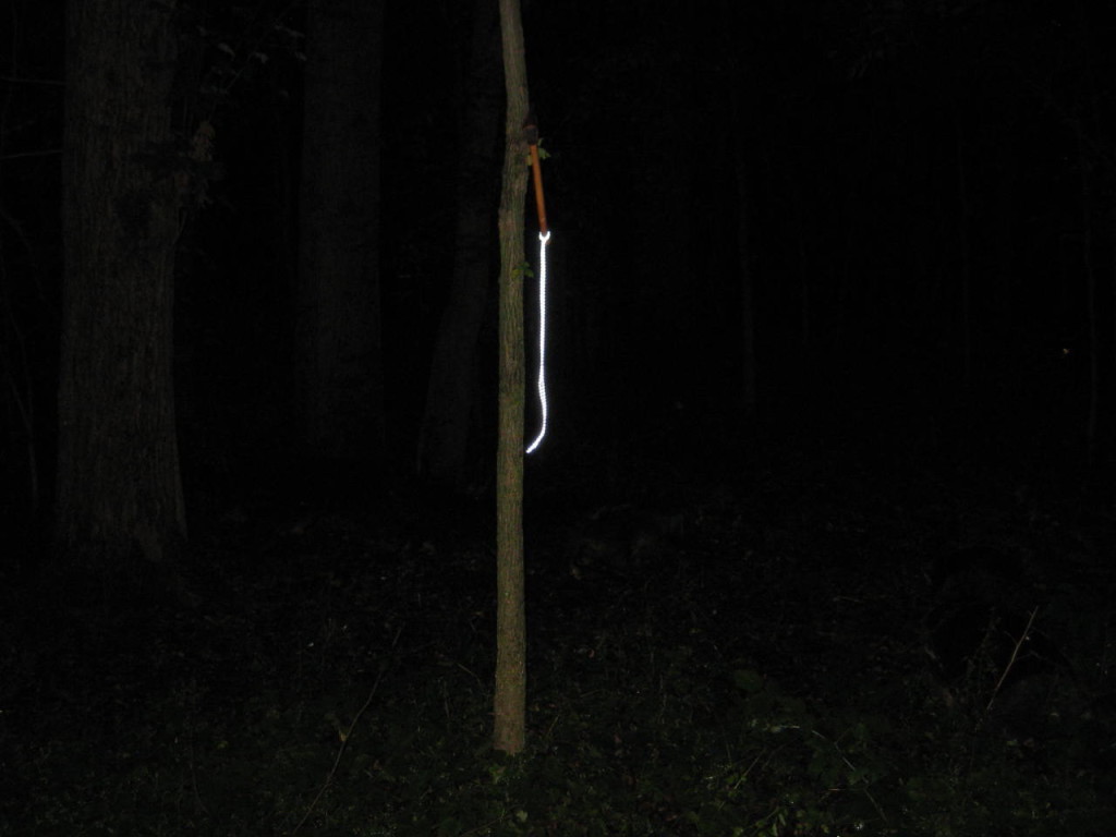 Glow cord