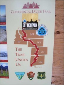 CDT 3
